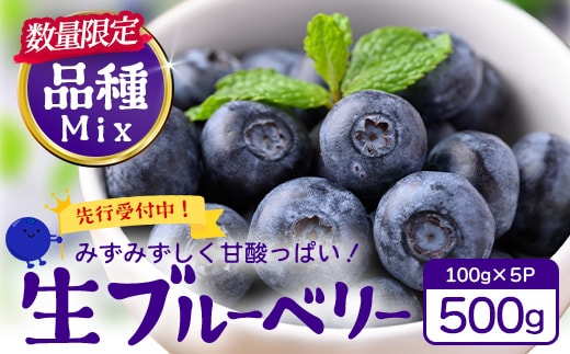 【2027年先行予約】南大隅産 (生)ブルーベリー 品種ミックス詰め合わせ ≪100g×5P≫ BO-1 ｜ ブルーベリー 生 大粒 小分け 旬 産地直送 果物 フルーツ くだもの 新鮮 農園 冷蔵 鹿児島県 南大隅町 本土最南端からお届けします！