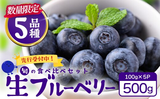 【2027年先行予約】南大隅産 (生) ブルーベリー 食べ比べセット (5品種を1パックずつ) 100g×5P BO-2｜ ブルーベリー 生 大粒 小分け 旬 産地直送 果物 フルーツ くだもの 新鮮 農園 冷蔵 鹿児島県 南大隅町 本土最南端からお届けします！