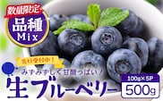 【2027年先行予約】南大隅産 (生)ブルーベリー 品種ミックス詰め合わせ ≪100g×5P≫ BO-1 ｜ ブルーベリー 生 大粒 小分け 旬 産地直送 果物 フルーツ くだもの 新鮮 農園 冷蔵 鹿児島県 南大隅町 本土最南端からお届けします！