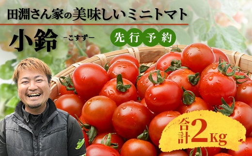田淵さんちの美味しいミニトマト 小鈴約2kg（1.0kg×2箱） GP-709| 野菜 トマト ミニトマト 産地直送 新鮮 おいしい お弁当 サラダ 南大隅町 鹿児島県 根占グリーンプラネット