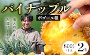 【2027年先行予約・数量限定】パイナップル/ボゴール種 (約800g×2玉) DS-004｜パイン パイナップル パインアップル フルーツ ボゴールパイン スナックパイン 産地直送 旬 送料無料 鹿児島県 南大隅町 株式会社デラセーラ