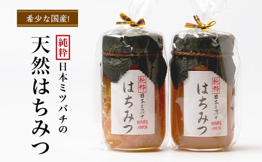 【数量限定】国産[純粋]日本ミツバチの天然はちみつ（270g×２本）CB003｜蜂蜜 ハチミツ 生 百花蜜 非加熱 希少 採蜜 なめらか 口当たり 自然 職人 手作業 ご褒美 ギフト 贈答 鹿児島県 南大隅町