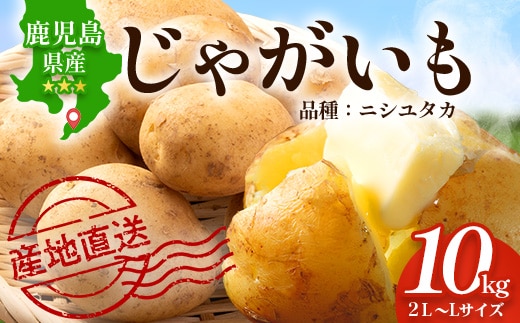 【先行予約】鹿児島 最南端 じゃがいも 馬鈴薯 (バレイショ) ≪2L～L≫ 約10㎏×1箱 /品種ニシユタカ (約30個) ≪ 2026年3月20日頃より順次発送≫ CS-1｜産地直送 旬 ジャガイモ 芋 ポテト ばれいしょ 新じゃが 春じゃが 春作 鹿児島県 南大隅町 地域商社推進機構