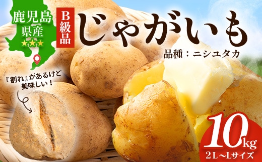 【先行予約】【B級品】(割れ) 鹿児島 最南端 じゃがいも 馬鈴薯 (バレイショ) ≪2L～L≫ 約10㎏×1箱 /品種ニシユタカ (約30個) ≪2026年3月20日頃より順次発送≫ CS-2 | 家庭用 南大隅町産 産地直送 旬 ポテト ジャガイモ ばれいしょ 新じゃが 春じゃが 春作 国産 鹿児島県 南大隅町 地域商社推進機構