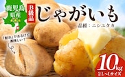 【先行予約】【B級品】(割れ) 鹿児島 最南端 じゃがいも 馬鈴薯 (バレイショ) ≪2L～L≫ 約10㎏×1箱 /品種ニシユタカ (約30個) ≪2026年3月20日頃より順次発送≫ CS-2 |  家庭用 南大隅町産 産地直送 旬 ポテト ジャガイモ ばれいしょ 新じゃが 春じゃが 春作 国産 鹿児島県 南大隅町 地域商社推進機構