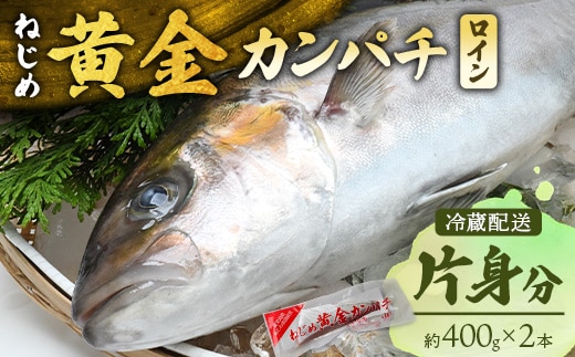 【配送日指定可能】鹿児島 ねじめ黄金カンパチ ロイン 片身分（約400g×2本） 冷蔵便 | 魚 直送 養殖 根占 さかな 身が引き締まった かんぱち 漁師 刺身 寿司 しゃぶしゃぶ ぷりぷり食感 鹿児島県 南大隅町 ねじめ漁業協同組合 D7507