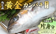 【配送日指定可能】鹿児島 ねじめ黄金カンパチ ロイン 片身分（約400g×2本） 冷蔵便 | 魚 直送 養殖 根占 さかな 身が引き締まった かんぱち 漁師 刺身 寿司 しゃぶしゃぶ ぷりぷり食感 鹿児島県 南大隅町 ねじめ漁業協同組合 D7507