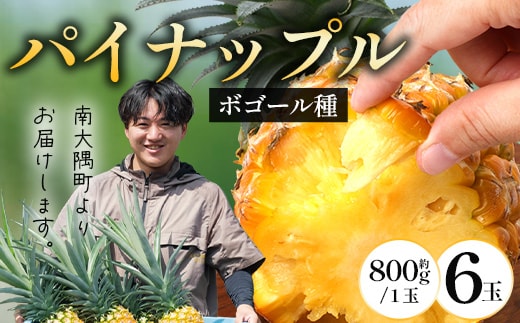 【2027年先行予約・数量限定】パイナップル/ボゴール種 (約800g×6玉) DS-1｜パイン パイナップル パインアップル フルーツ ボゴールパイン スナックパイン 産地直送 旬 送料無料 鹿児島県 南大隅町 株式会社デラセーラ
