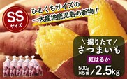 【期間限定！数量限定！】掘りたて さつまいも 紅はるか 2.5kg (500g×5袋) SSサイズ (自宅で簡単レシピ付き）FR-6 | 秋の味覚 2026年秋収穫 新物 さつまいも サツマイモ 感動サツマイモ 焼き芋 べにはるか 小ぶり 野菜 おやつ おかず お弁当 煮物 芋ごはん 味噌汁 産地直送 鹿児島県 南大隅町 株式会社フォレスト