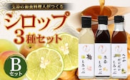 【先行予約・数量限定】日本料理人が作る シロップ 3種類 Bセット/辺塚だいだいシロップ・梅シロップ・生姜シロップ (各240ｇ×1瓶) GN-15｜鹿児島県 南大隅町 果物 うめ ショウガ しょうが フルーツ シロップ 希釈 甘み 酸味 甘さ控えめ お菓子づくり 手づくり 新鮮 旬 銀シャリ中はら