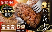 【先行予約：12月下旬配送～】鹿児島県産 黒毛和牛 ≪生≫ 和食料理人の手作り ハンバーグ （100g×6個）GN-3｜鹿児島県 南大隅町 ハンバーグ 牛肉 手作り 銀シャリ中はら 寄付
