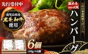 【先行予約：12月下旬配送～】鹿児島県産 黒毛和牛 ≪レトルト≫ 和食料理人の手作り ハンバーグ（100g×6個）GN-5｜鹿児島県 南大隅町 ハンバーグ 牛肉 手作り レトルト 銀シャリ中はら