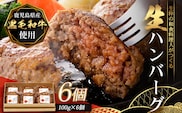 鹿児島県産 黒毛和牛 ≪生≫ 和食料理人の手作り ハンバーグ （100g×6個）GN-3｜鹿児島県 南大隅町 ハンバーグ 牛肉 手作り 銀シャリ中はら 寄付