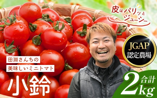 田淵さんちの美味しいミニトマト 小鈴約2kg（1.0kg×2箱） GP-709| 野菜 トマト ミニトマト 産地直送 新鮮 おいしい お弁当 サラダ 南大隅町 鹿児島県 根占グリーンプラネット