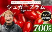 《期間限定》田淵さんちの美味しい ミニトマト シュガープラム（約700g）GP-1｜鹿児島県 南大隅 産地直送 旬 とまと トマト ミニトマト リコピン 完熟 甘い 高糖度 野菜 やさい 送料無料