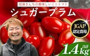《期間限定》田淵さんちの美味しい ミニトマト シュガープラム（約1,400g）GP-2｜鹿児島県 南大隅 産地直送 旬 とまと トマト ミニトマト リコピン 完熟 甘い 高糖度 野菜 やさい 送料無料