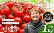 田淵さんちの美味しい ミニトマト 小鈴（約1kg）GP-708｜野菜 トマト ミニトマト 産地直送 新鮮 おいしい お弁当 サラダ 南大隅町 鹿児島県 根占グリーンプラネット