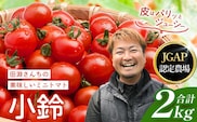 田淵さんちの美味しいミニトマト 小鈴約2kg（1.0kg×2箱） GP-709| 野菜 トマト ミニトマト 産地直送 新鮮 おいしい お弁当 サラダ 南大隅町 鹿児島県 根占グリーンプラネット