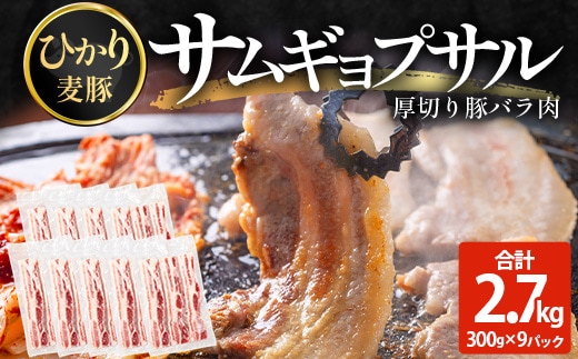 サムギョプサル用 厚切り豚バラ肉 約2.7kg（300g×9パック） ひかり麦豚 トレーなし HM-21 ｜ サムギョプサル 肉 お肉 にく 豚肉 バラ肉 厚切り 冷凍 真空冷凍 小分け 焼肉 BBQ 産地直送 鹿児島県 南大隅町 ひかり麦豚直売所