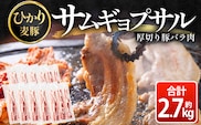サムギョプサル用 厚切り豚バラ肉 約2.7kg ひかり麦豚 トレーなし HM-21 ｜ サムギョプサル 肉 お肉 にく 豚肉 バラ肉 厚切り 冷凍 真空冷凍 小分け 焼肉 BBQ 産地直送 鹿児島県 南大隅町 ひかり麦豚直売所