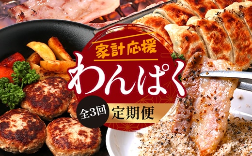 【定期便全3回】ひかり麦豚 わんぱく定期便 ≪月替わりで焼肉・ハンバーグ・餃子をお届け！≫ 冷凍 HM-10 | 肉 お肉 にく 豚肉 焼き肉 ロース肉 肩ロース バラ肉 ハンバーグ ギョウザ ぎょうざ 真空冷凍 産地直送 小分け パック 手作り 鹿児島県 南大隅町 ひかり麦豚直売所