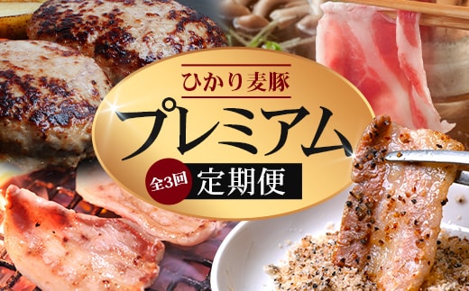 【定期便全3回】ひかり麦豚 プレミアム定期便 ≪月替わりでしゃぶしゃぶ・焼肉・ハンバーグをお届け！≫ 冷凍 HM-11 | 精肉 お惣菜 肉 お肉 にく 豚肉 焼き肉 バーベキュー ロース肉 肩ロース バラ肉 真空冷凍 産地直送 小分け パック 手作り 鹿児島県 南大隅町 ひかり麦豚直売所
