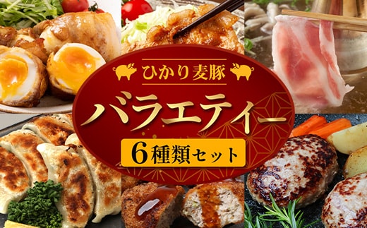 鹿児島県産 ☆＼＼ ひかり麦豚 バラエティーセット ／／☆ しゃぶ肉/ロース肉/バラ肉/ハンバーグ/メンチカツ/餃子 HM-13 | 肉 お肉 にく 豚肉 ロース 衣付き 真空冷凍 新鮮 小分け 産地直送 鹿児島県 南大隅町