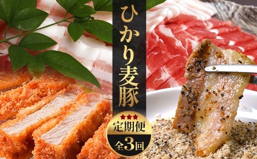 【定期便全3回】ひかり麦豚定期便 ≪月替わりで楽しむ豚肉セット！しゃぶしゃぶ・ロース肉・焼肉セットをお届け！≫ 冷凍 HM-18 |肉 お肉 にく 豚肉 精肉 焼き肉 焼肉 やきにく バーベキュー ロース肉 肩ロース バラ肉 生姜焼き とんかつ しゃぶしゃぶ 真空冷凍 産地直送 小分け パック 手作り 鹿児島県 南大隅町 ひかり麦豚直売所