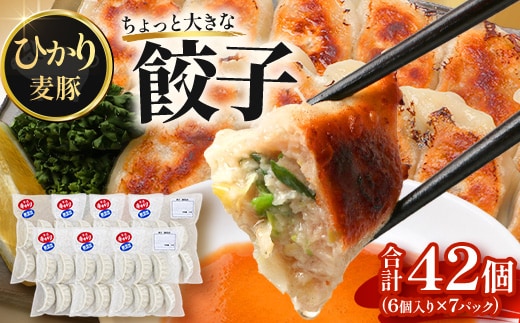 鹿児島県産 ひかり麦豚 ＼＼ちょっと大きな 餃子 42個セット／／ HM-707 | ぎょうざ ギョウザ 食べ応え抜群焼き餃子 水餃子 豚肉 おかず お弁当 冷凍 トレーなし パック 小分け 産地直送 鹿児島県 南大隅町 ひかり麦豚直売所