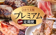 【定期便全3回】ひかり麦豚 プレミアム定期便 ≪月替わりでしゃぶしゃぶ・焼肉・ハンバーグをお届け！≫ 冷凍 HM-11 | 精肉 お惣菜 肉 お肉 にく 豚肉 焼き肉 バーベキュー ロース肉 肩ロース バラ肉  真空冷凍 産地直送 小分け パック 手作り 鹿児島県 南大隅町 ひかり麦豚直売所