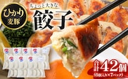 鹿児島県産 ひかり麦豚 ＼＼ちょっと大きな 餃子 42個セット／／ HM-707 | ぎょうざ ギョウザ 食べ応え抜群焼き餃子 水餃子 豚肉 おかず お弁当 冷凍 トレーなし パック 小分け 産地直送 鹿児島県 南大隅町 ひかり麦豚直売所