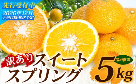 【訳あり】≪先行予約・数量限定≫鹿児島県南大隅産スイートスプリング 約5kg ID-12 ｜鹿児島県 南大隅町