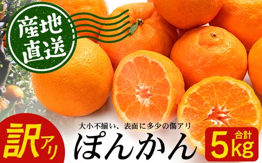 【訳あり】※先行予約・数量限定※ 南大隅の太陽浴びた甘くて・おいしい ぽんかん 約5kg≪2027年1月中旬以降発送予定≫ ID-2｜鹿児島県 南大隅町