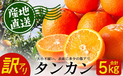 【訳あり】※先行予約・数量限定※ 南大隅の太陽浴びた甘くて・おいしい タンカン 約5kg≪2027年2月中旬以降順次発送≫ ID-3｜鹿児島県 南大隅町
