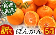 【訳あり】※先行予約・数量限定※ 南大隅の太陽浴びた甘くて・おいしい ぽんかん 約5kg≪2027年1月中旬以降発送予定≫ ID-2｜鹿児島県 南大隅町