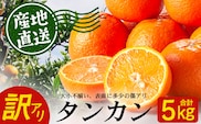 【訳あり】※先行予約・数量限定※ 南大隅の太陽浴びた甘くて・おいしい タンカン 約5kg≪2027年2月中旬以降順次発送≫ ID-3｜鹿児島県 南大隅町