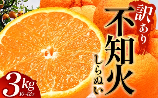 【数量限定・訳あり】しらぬい 約3㎏(10～12玉) MS-1｜数量限定 柑橘 みかん ミカン 蜜柑 果物 生果 旬 フルーツ くだもの 国産 産地直送 家庭用 佐多岬