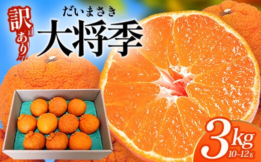 【数量限定】【今が旬！訳あり！】大将季 約3㎏（10玉～12玉） MS-2｜数量限定 柑橘 みかん ミカン 蜜柑 果物 生果 旬 フルーツ くだもの 国産 産地直送 家庭用 佐多岬