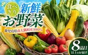 食べきり新鮮お野菜セット 8品目以上 NI-2 ｜ 旬 野菜 やさい 果物 くだもの 産地直送 農産物 冷蔵 鹿児島県 南大隅町産 詰合せ おまかせ 家庭用 なんたん市場