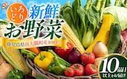 いろどり新鮮お野菜セット 10品目以上 NI-3 ｜ 旬 野菜 やさい 果物 くだもの 産地直送 農産物 冷蔵 鹿児島県 南大隅町産 詰合せ おまかせ 家庭用 なんたん市場