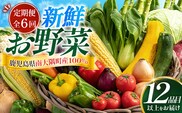 【定期便全6回】よくばり新鮮お野菜セット 12品目以上 NI-8 ｜ 旬 野菜 やさい 果物 くだもの 産地直送 農産物 冷蔵 鹿児島県 南大隅町産 詰合せ おまかせ 家庭用 なんたん市場