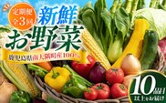 【定期便全3回】いろどり新鮮お野菜セット 10品目以上 NI-4 ｜ 旬 野菜 やさい 果物 くだもの 産地直送 農産物 冷蔵 鹿児島県 南大隅町産 詰合せ おまかせ 家庭用 なんたん市場
