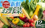 【定期便全3回】よくばり新鮮お野菜セット 12品目以上 NI-7 ｜ 旬 野菜 やさい 果物 くだもの 産地直送 農産物 冷蔵 鹿児島県 南大隅町産 詰合せ おまかせ 家庭用 なんたん市場
