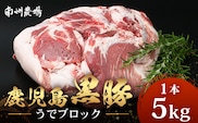【南大隅町限定】かごしま黒豚 うでブロック（約5.0kg） NS-4 | 肉 豚肉 ぶた 豚 ブタ 黒豚 かごしま黒豚 うで ブロック 新鮮 産地直送 限定 鹿児島県 南大隅町 南州農場