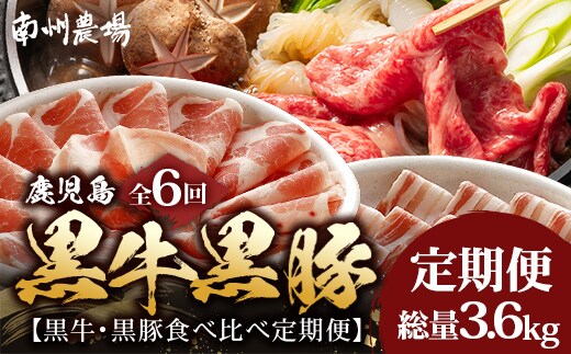 ［新春］≪全6回≫ 鹿児島県産 ◆ 黒牛＆黒豚食べ比べ 定期便◆ 南州黒牛 かごしま黒豚 NS-28 | 牛 肉 お肉 ブランド牛 黒毛和牛 鹿児島黒豚 黒豚 豚肉 豚 ぶた肉 霜降り サシ ロース しゃぶしゃぶ すき焼き すきやき 甘い やわらかい 冷凍 産地直送 肉定期便 南大隅町