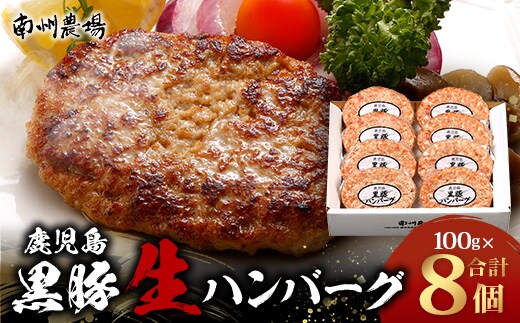 鹿児島県産 黒豚生ハンバーグセット（8個入）冷凍 NS-12 ❘ 肉 お肉 豚肉 豚 にく ぶた かごしま黒豚 ハンバーグ おかず ジューシー 小分け ギフト おかず お弁当 国産 鹿児島県 南大隅町 南州農場