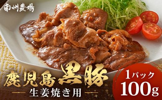 鹿児島県産 黒豚生姜焼き（100g×1パック）味付き肉 冷凍 NS-20 | 鹿児島 黒豚 かごしま黒豚 お味見 お試し お一人様用 お肉 肉 豚肉 しょうが焼き 焼くだけ 味付き おかず お弁当 加工肉 真空パック 鹿児島県 南大隅町 南州農場