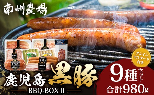 鹿児島県産 BBQ-BOX Ⅱ ハム ソーセージ ベーコン 詰め合わせ セット NS-25 | かごしま 黒豚 生ハム ボロニア ウインナー ソース ジャーキー おつまみ バーベキュー 焼き肉 低添加製法 冷蔵 鹿児島県 南大隅町 南州農場