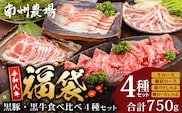 【福袋】黒豚・黒牛食べ比べ4種セット NS-31-fb ❘ かごしま黒豚 南州黒牛 ロース スライス しゃぶしゃぶ 豚バラ 豚ロース 食べ比べ 赤身 ポン酢 南大隅町 鹿児島県 南州農場