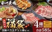 【福袋】黒豚バラエティ4種セット NS-32-fb ❘ かごしま黒豚 肩ロース ばら肉 しゃぶしゃぶ 味噌漬け 餃子 ぎょうざ ギョウザ 国産 野菜 セット ポン酢 南大隅町 鹿児島県 南州農場